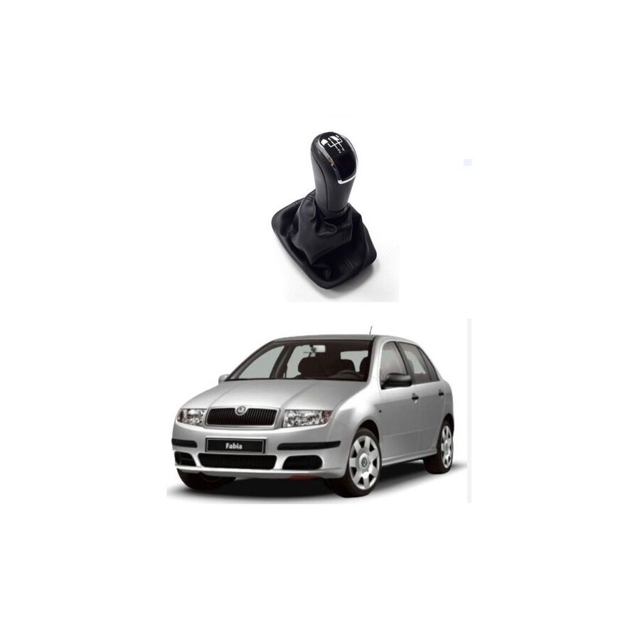 Vites Topuzu ve Körüğü Skoda Fabıa 2001-2007