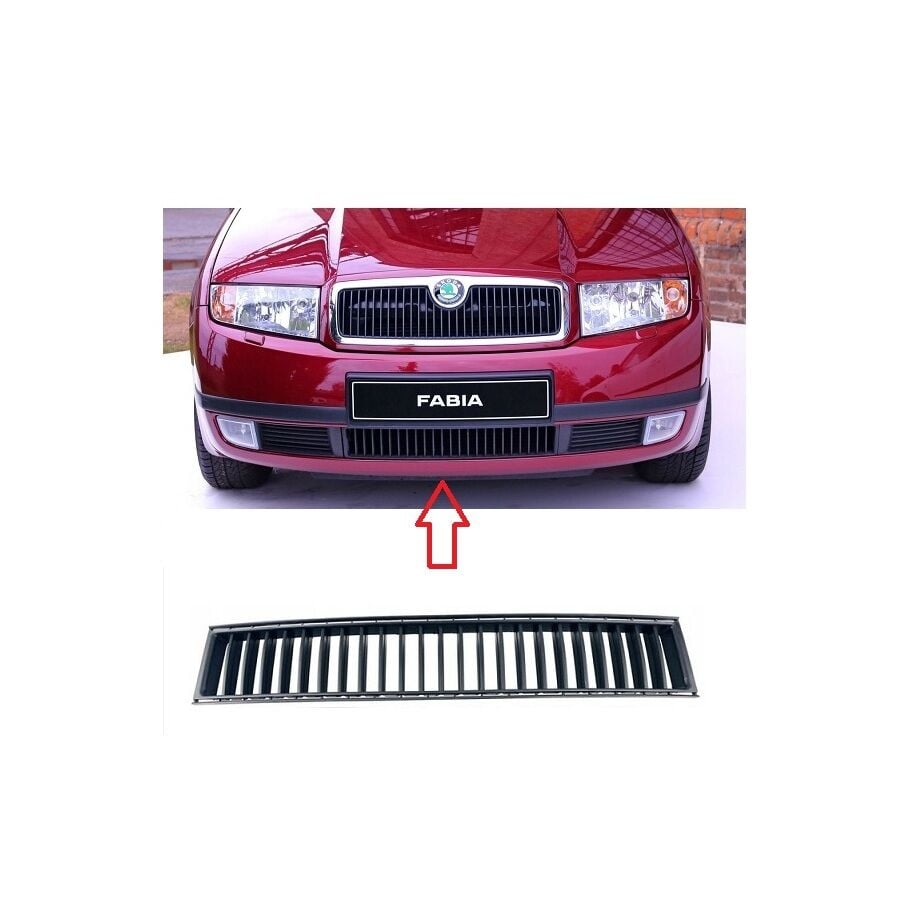 Tampon Orta Izgarası (Tampon Orta Panjur) Skoda Fabıa MK1 (2001-2005)